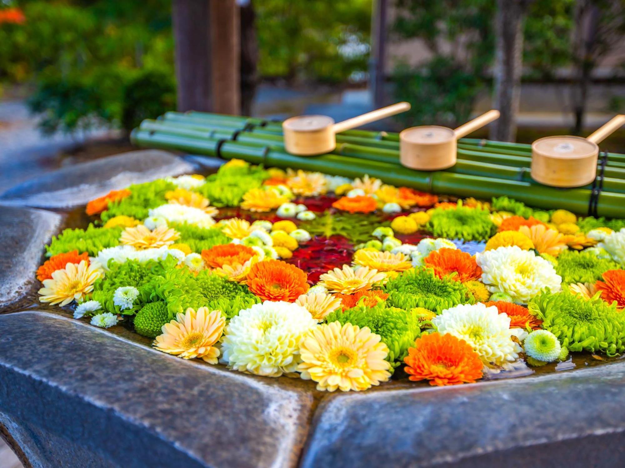 The Machiya Ebisuya Hotel Kyoto Luaran gambar