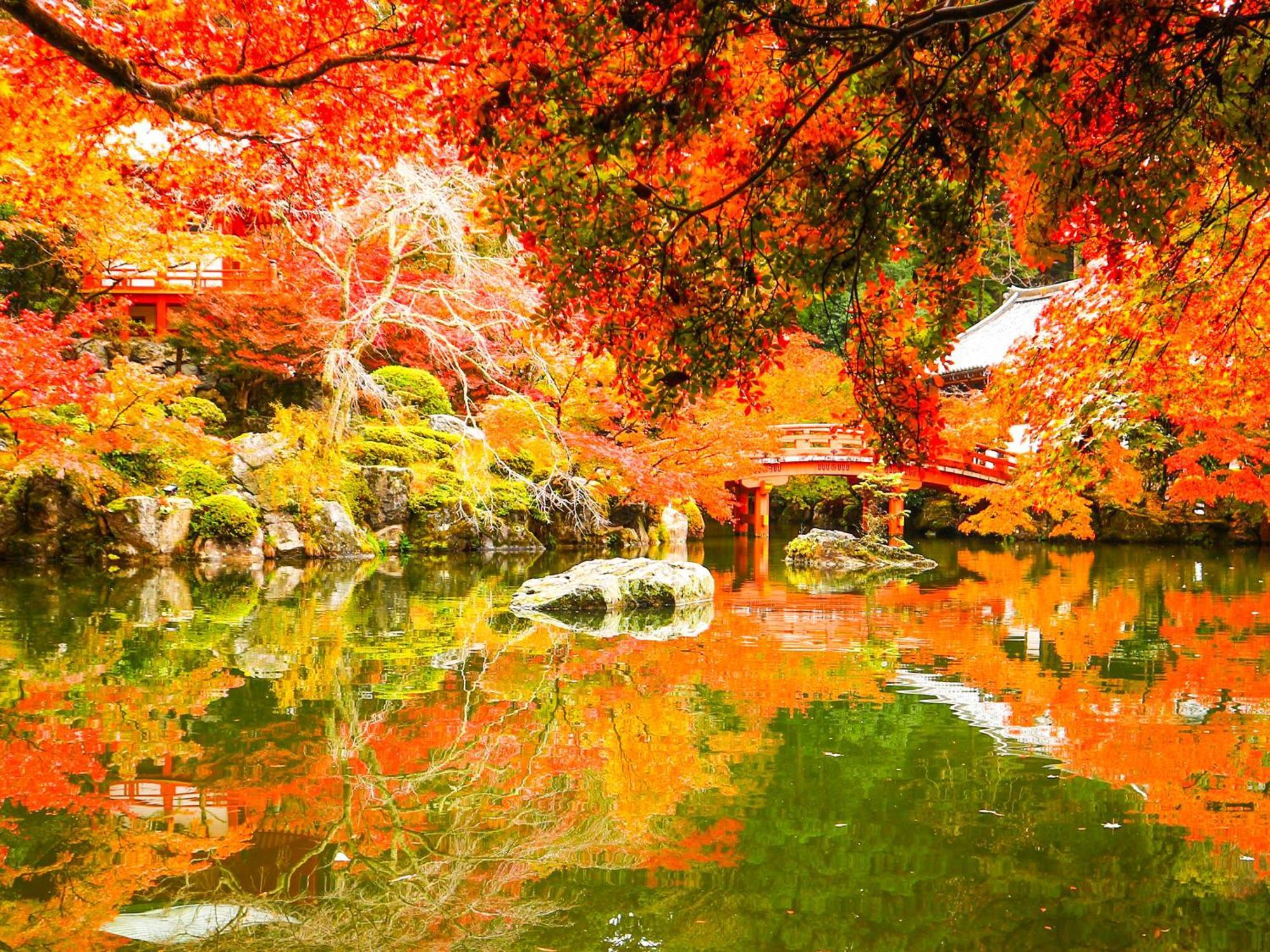 The Machiya Ebisuya Hotel Kyoto Luaran gambar